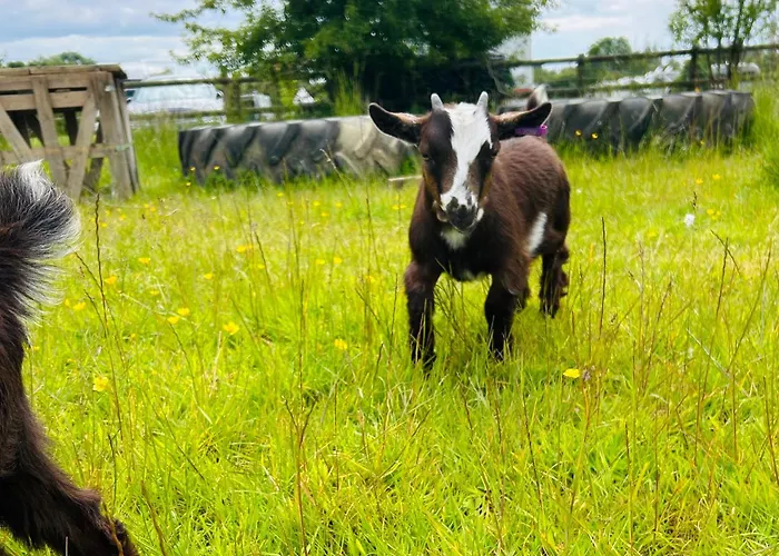 Valley Farm Bells